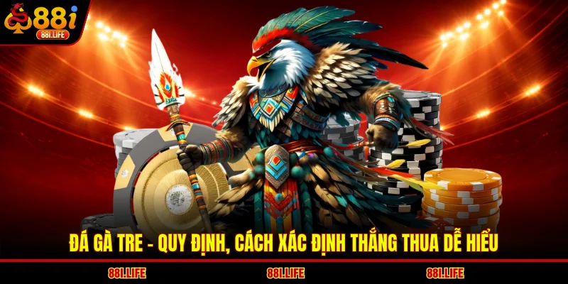 Đá Gà Tre - Quy Định, Cách Xác Định Thắng Thua Dễ Hiểu